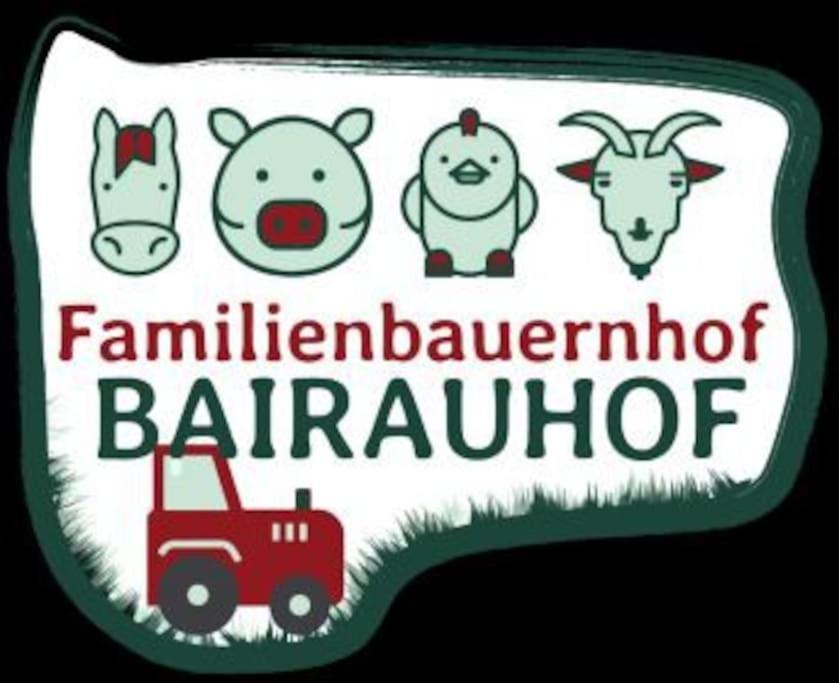 Ferienwohnung Ochsenhorn In Lofer 100 M² / 4-8 P. Kültér fotó